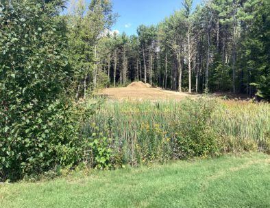 The dreaded pond on #2