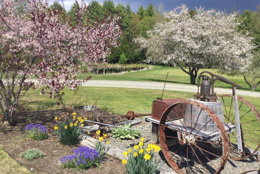 Sawmill Woods Hole 1